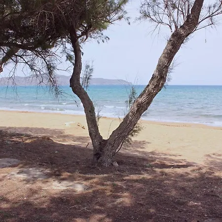 Lifeguard Beachfront Luxury Flat, 30meters From Sea Apartment *